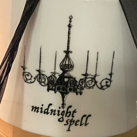 ELEGANCE Midnight Spell Chandelier Cup And Saucer Set 🖤🖤🖤 - Picture 3 of 7